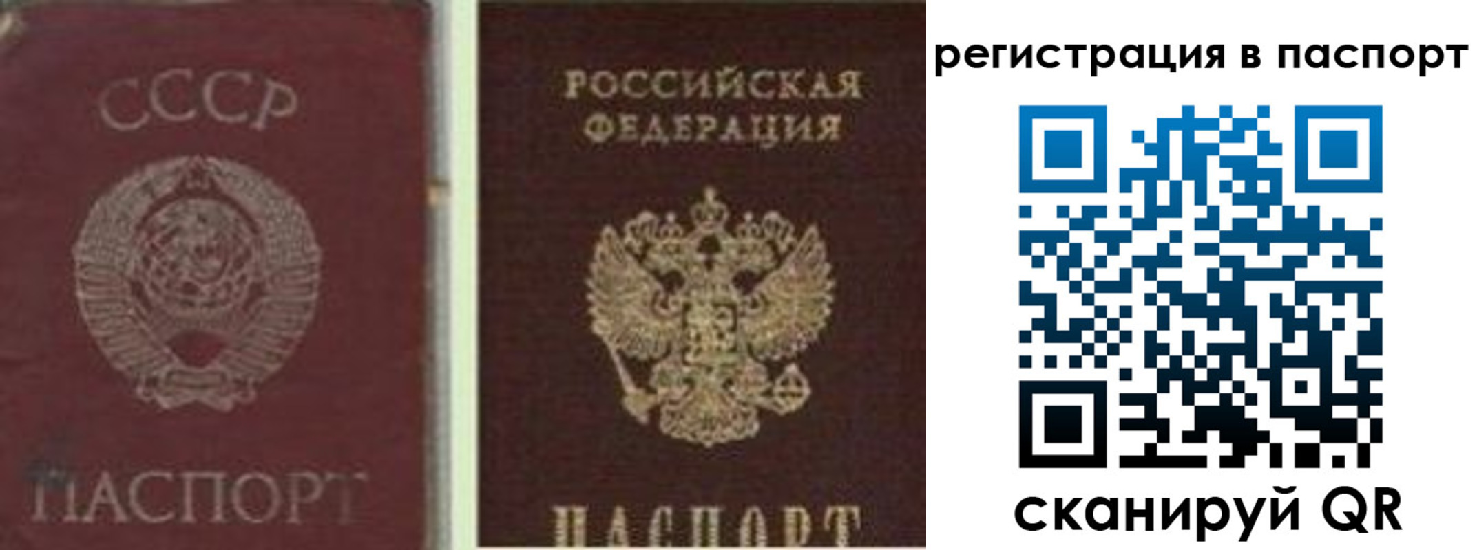 прописка для работы в Электростали